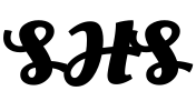 Shenzhen Health Services